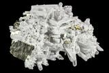 Cubic Pyrite and Quartz Crystal Association - Peru #126575-1